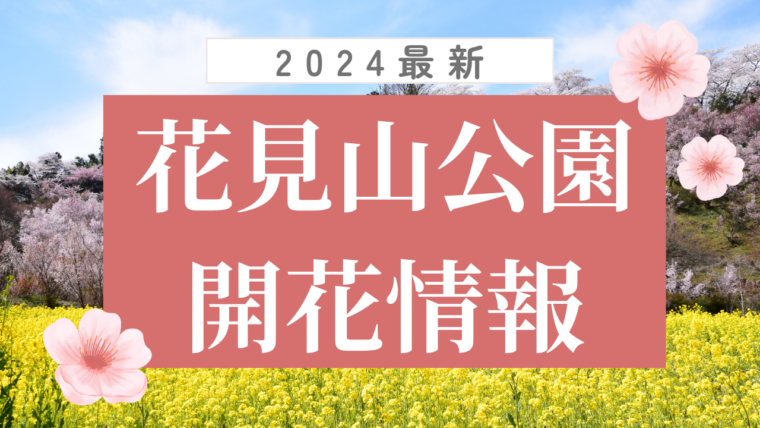 【2024】花見山公園開花情報（4/19更新）